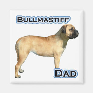 Imán Bullmastiff Dad 4 - Magnet