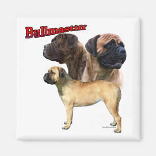 Imán Bullmastiff Trio 2 - Magnet