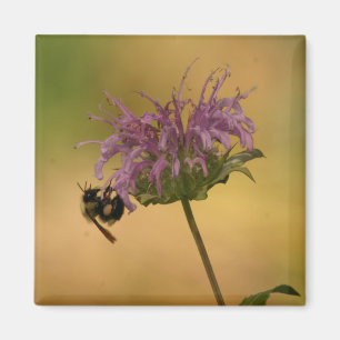 Imán Bumble Bee