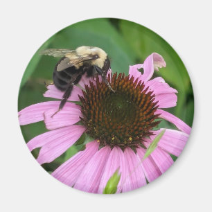 Imán Bumble Bee