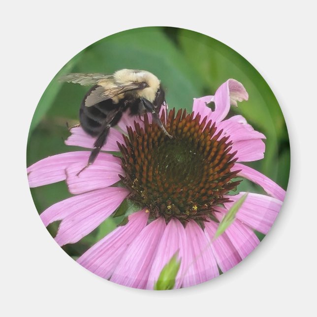 Imán Bumble Bee (Frente)