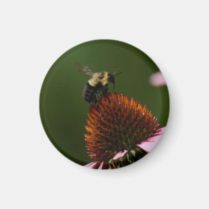 Imán Bumble Bee