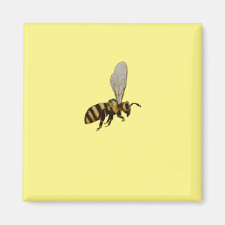 Imán Bumble Bee Fridge Magnet