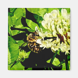 Imán Bumble Bee Magnet