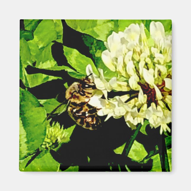 Imán Bumble Bee Magnet (Frente)