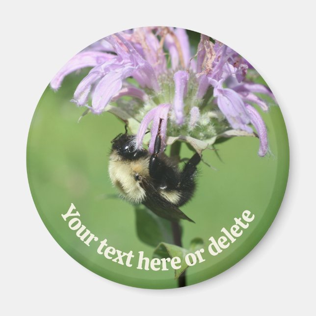 Imán Bumble Bee On Bee Balm Flower Personalized (Frente)