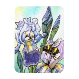 Imán Bumblebee e irlandeses