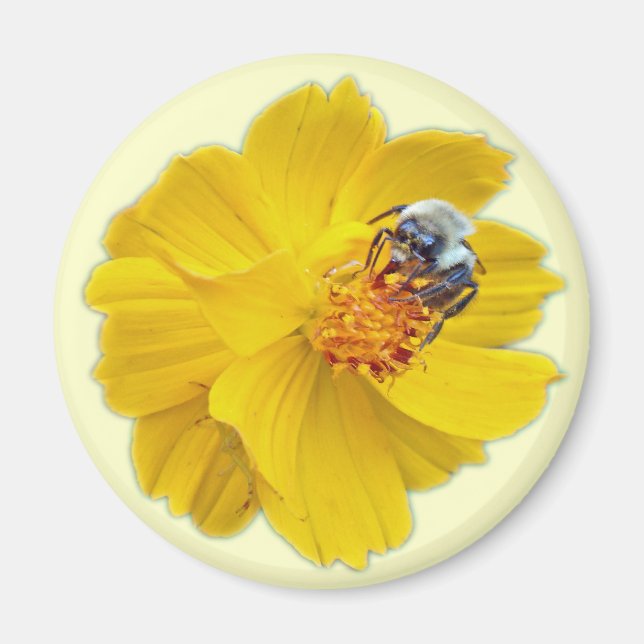 Imán Bumblebee en Cosmos (Frente)