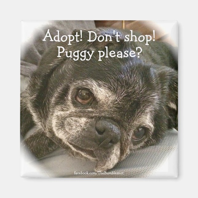 Imán Bumblesno: Puggy Please? (Frente)