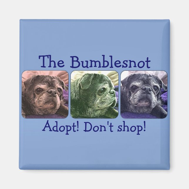 Imán Bumblesnot: Color Me Bumble (Frente)