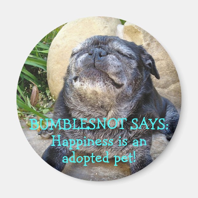 Imán Bumblesnot imnet: La felicidad es un Mascota adopt (Frente)
