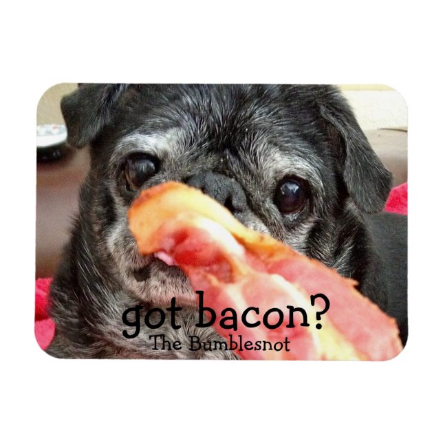 Imán Bumblesnot Magnet: ¿tiene tocino? (Horizontal)