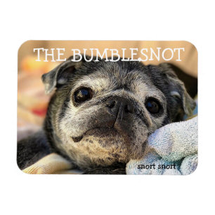 Imán Bumblesnot: snort snort