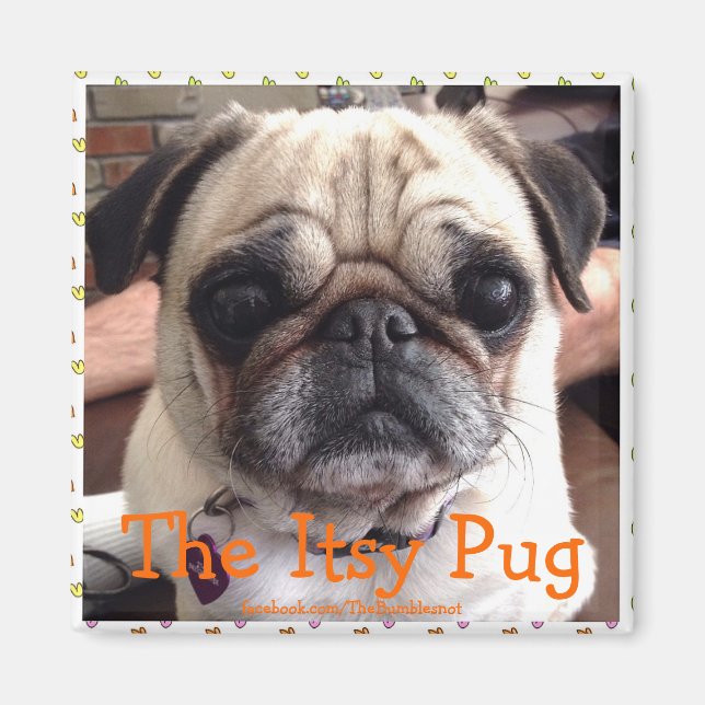 Imán Bumblesnot: The Itsy Pug (Frente)