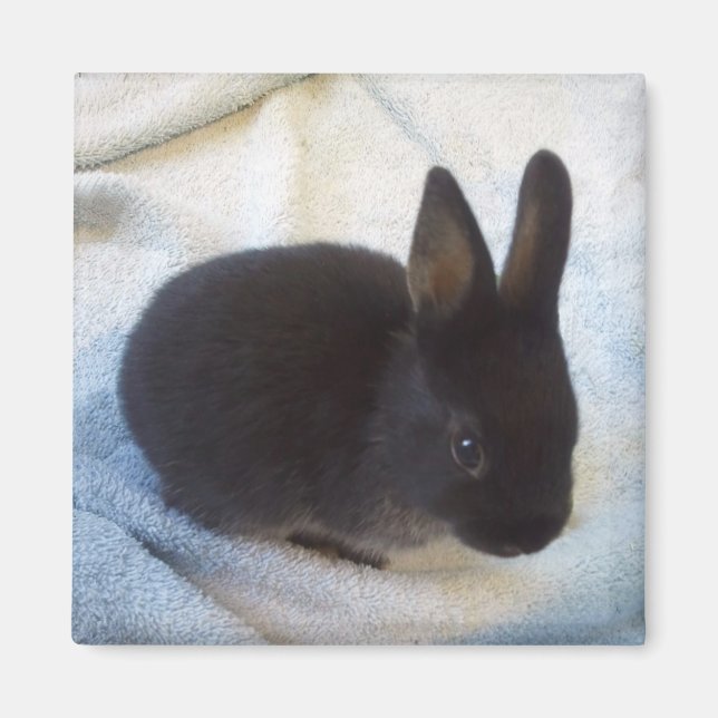 Imán Bun Magnet - Pequeño Magoo (Frente)