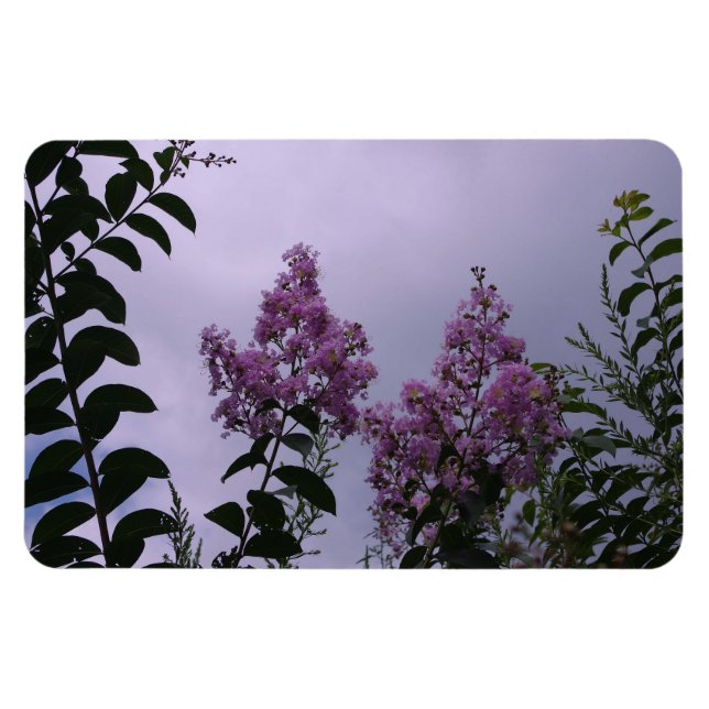 Imán Bunch rosado de flores (Horizontal)