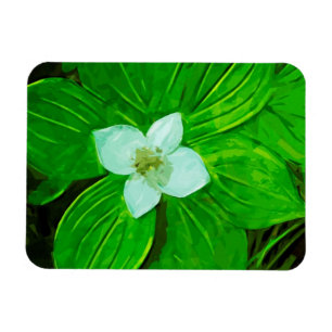 Imán Bunchberry White Wildflower