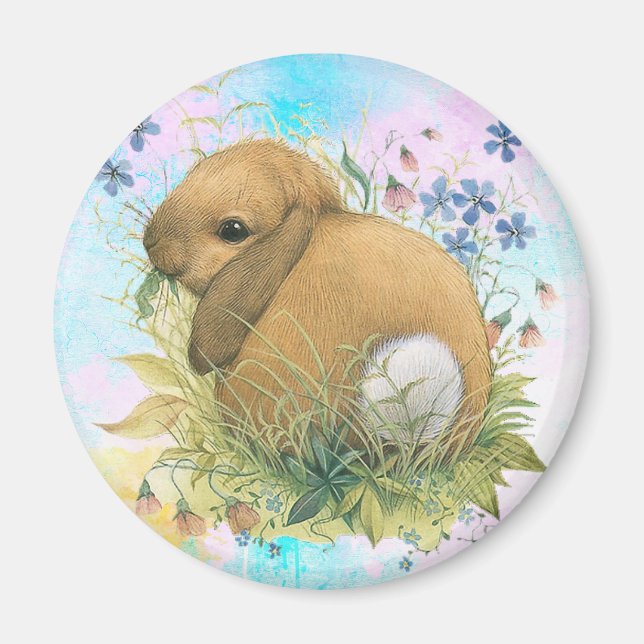 Imán Bunny (Frente)