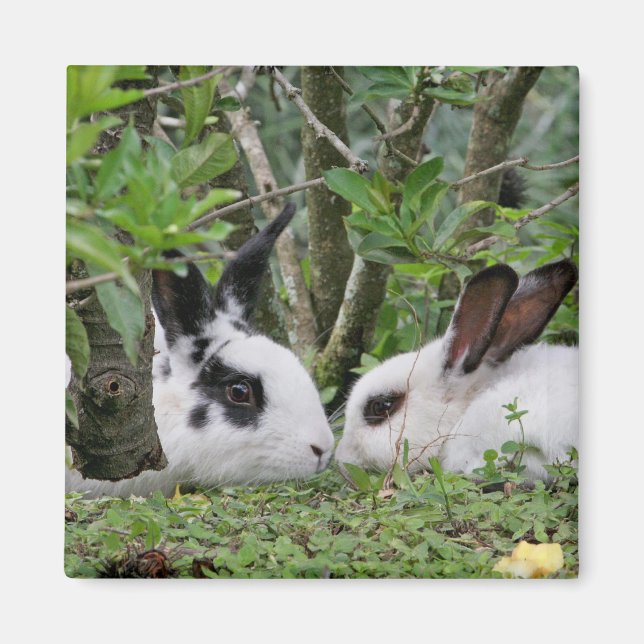 Imán Bunny Couple (Frente)