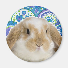 Imán Bunny gracioso