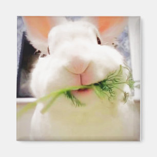 Imán Bunny Magnet