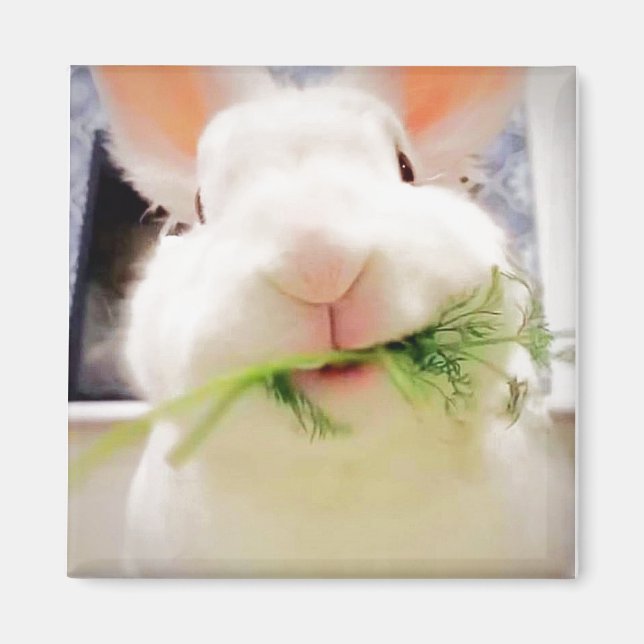 Imán Bunny Magnet (Frente)