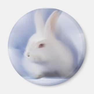 Imán Bunny Magnet