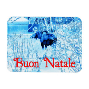 Imán Buon Natale - Moose urbano