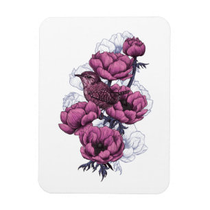 Imán Buquete de Wren