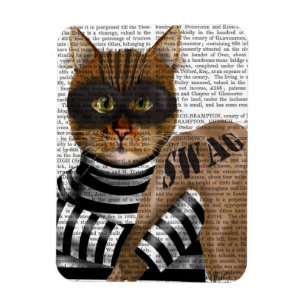 Imán Burglar de gato