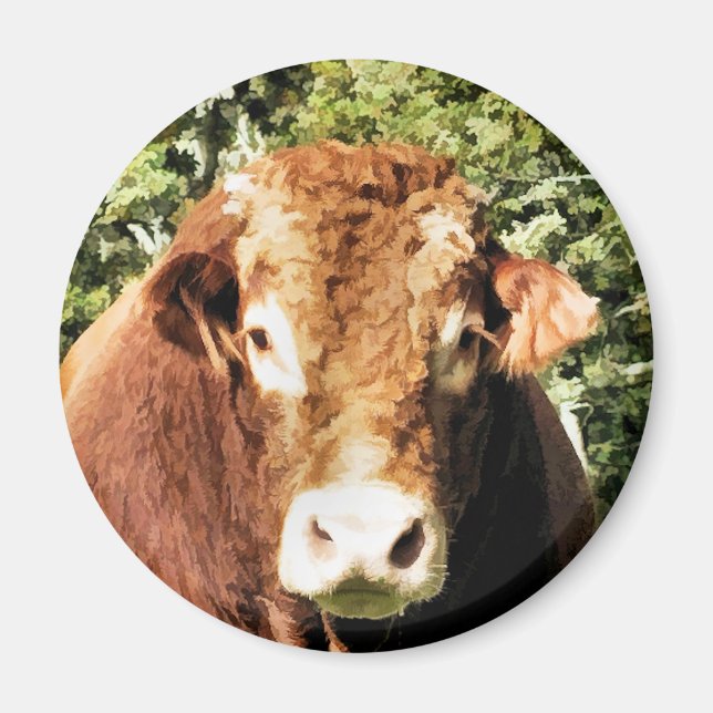 IMÁN BURLAR (Frente)