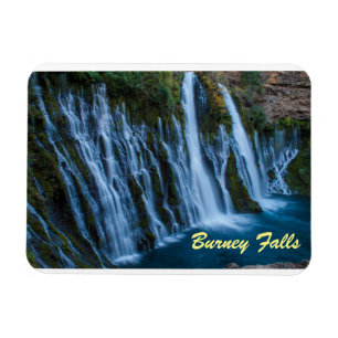 Imán Burney Falls Magnate