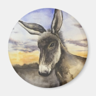 Imán burro