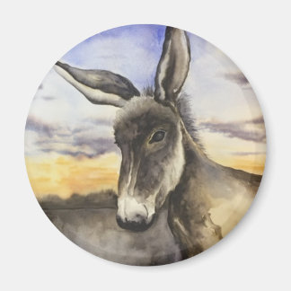 Imán burro