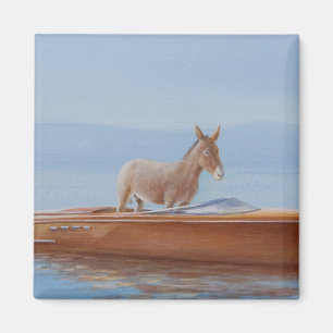 Imán Burro en un Riva 2010