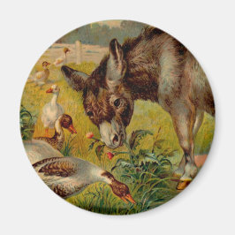 Imán Burro Vintage con Geese