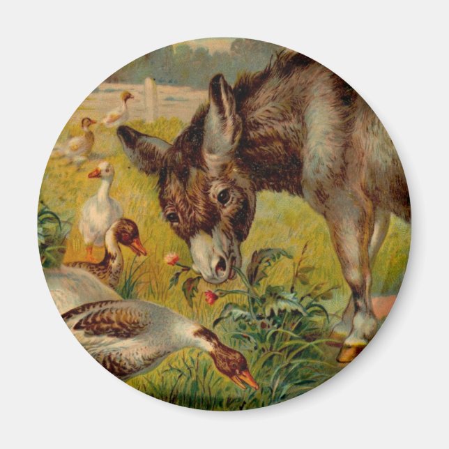 Imán Burro Vintage con Geese (Frente)