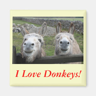 Imán ¡Burros sonrientes!