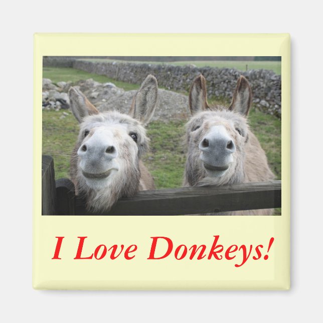 Imán ¡Burros sonrientes! (Frente)