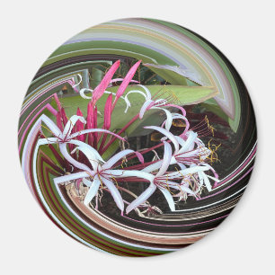 Imán Buscando afuera.....