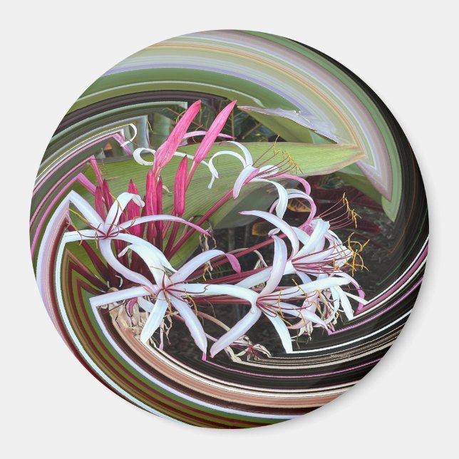 Imán Buscando afuera..... (Frente)