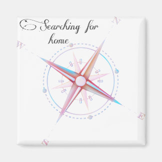 Imán Buscando brújula doméstica