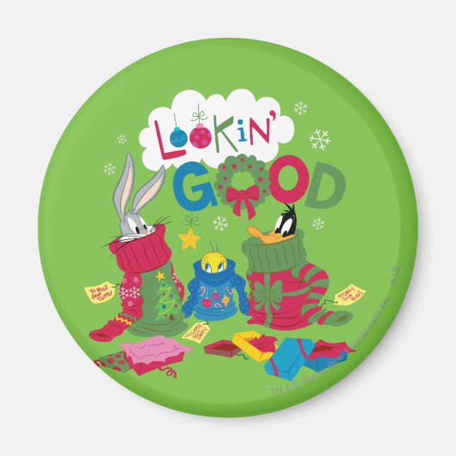 Imán Búsqueda correcta (Frente)