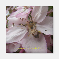 Busy Bee