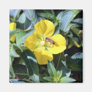 Imán Busy Bee