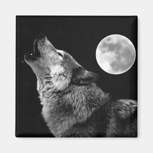 Imán BW Wolf Howling en la Luna (Frente)