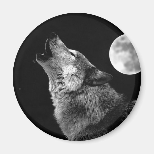 Imán BW Wolf Howling en la Luna (Frente)