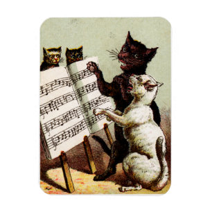 Imán C. 19. Cantando gatos