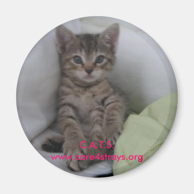 Imán C.A.T.S. Magnet: (Frente)