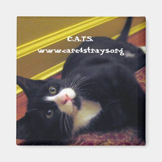 Imán C.A.T.S. Magnet: (Frente)